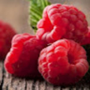 Meet your Posher, Kerry